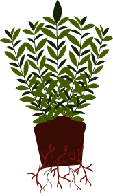 Sustainability